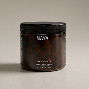 Supplement: Digestive Care