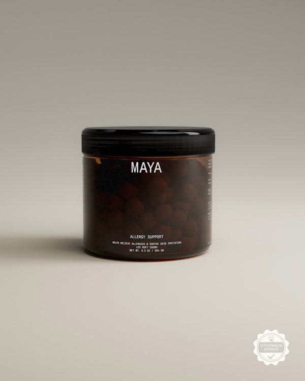 natural dog allergy supplement for itching and skin relief